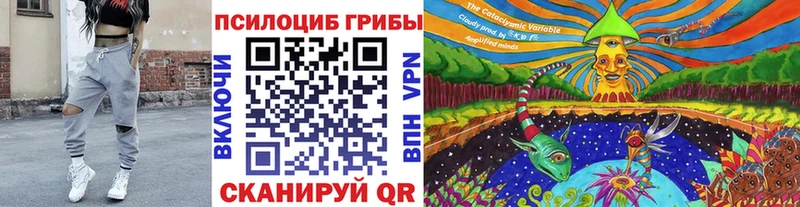 Псилоцибиновые грибы Psilocybe  Купить закладки  Макушино 